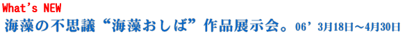 �C���̕s�v�c