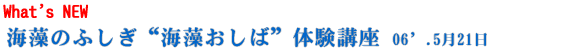 �C���̂ӂ����g�C�������΁h�̌��u��