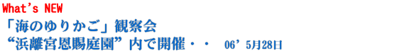 �u�C�̂�肩���v�ώ@��g�l���{�����뉀�h���ŊJ��