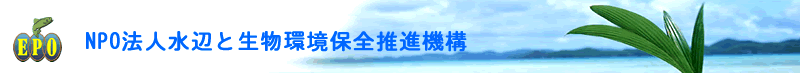 NPO�@�l���ӂƐ������ۑS���i�@�\