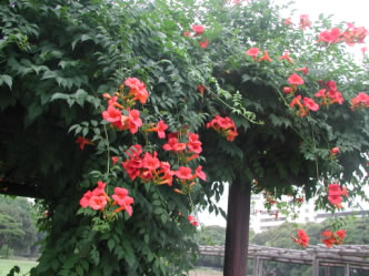 �l���{�����뉀����