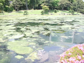 �l���{�����뉀����