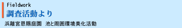 調査活動より
