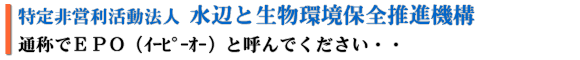 ���ӂƐ����� �������e